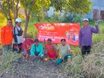 IMG-20260726-WA0049