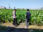 IMG-20260813-WA0017