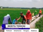 WA_1792570863508